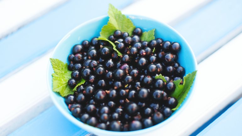 Schwarze Johannisbeeren